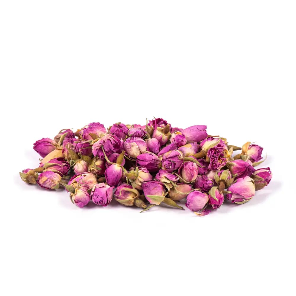 غنچه گل محمدی