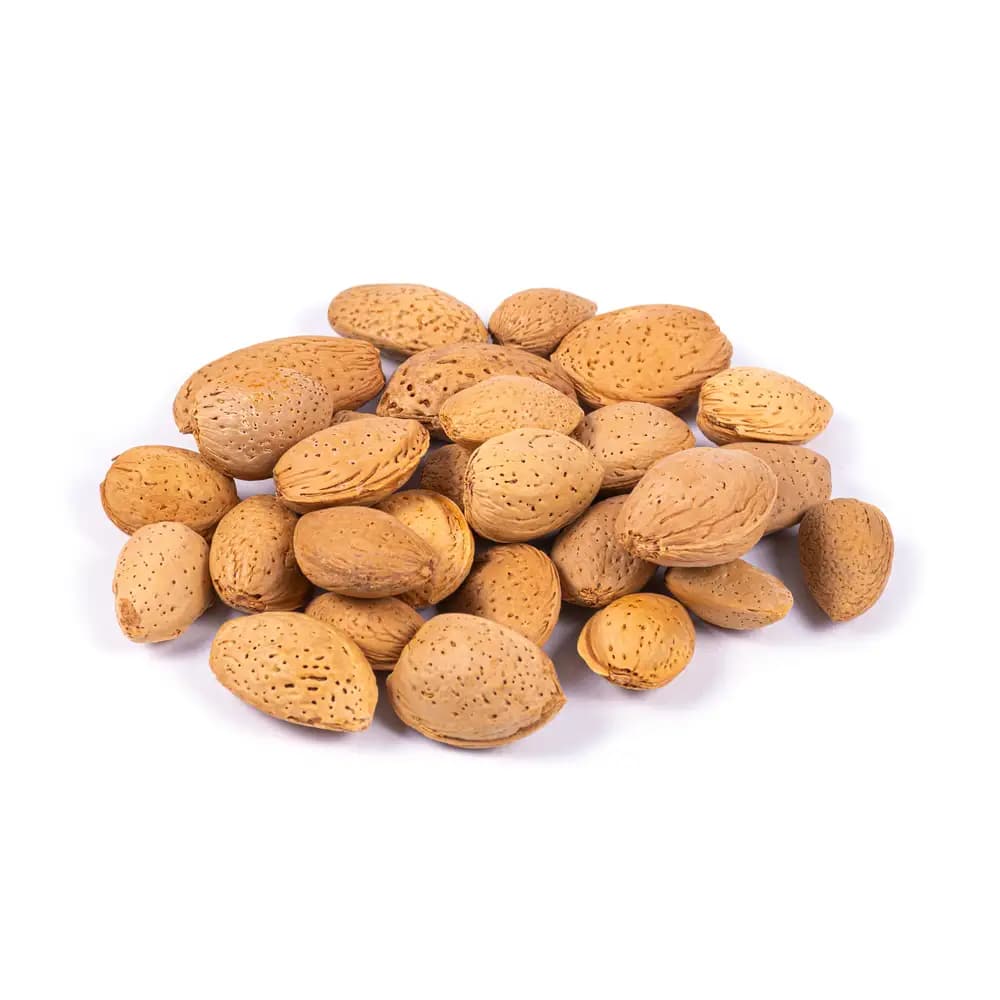 بادام سنگی